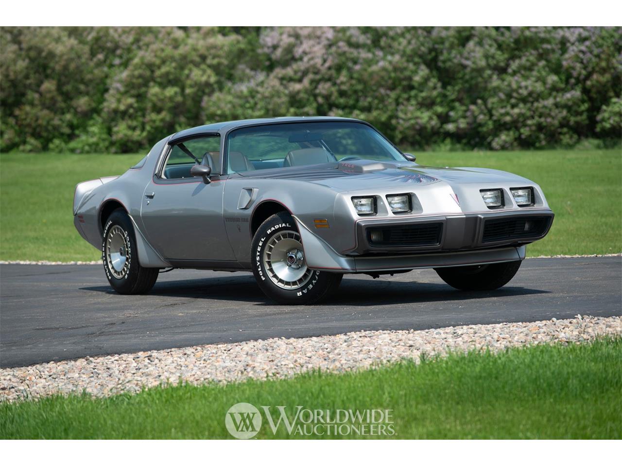 1979 Pontiac Firebird Trans Am For Sale