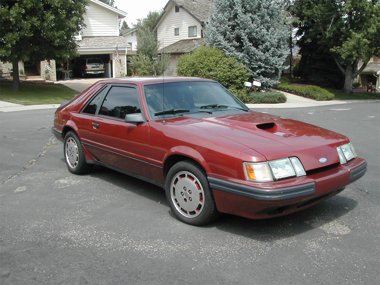 1985 Ford Mustang SVO for Sale | ClassicCars.com | CC-1006510