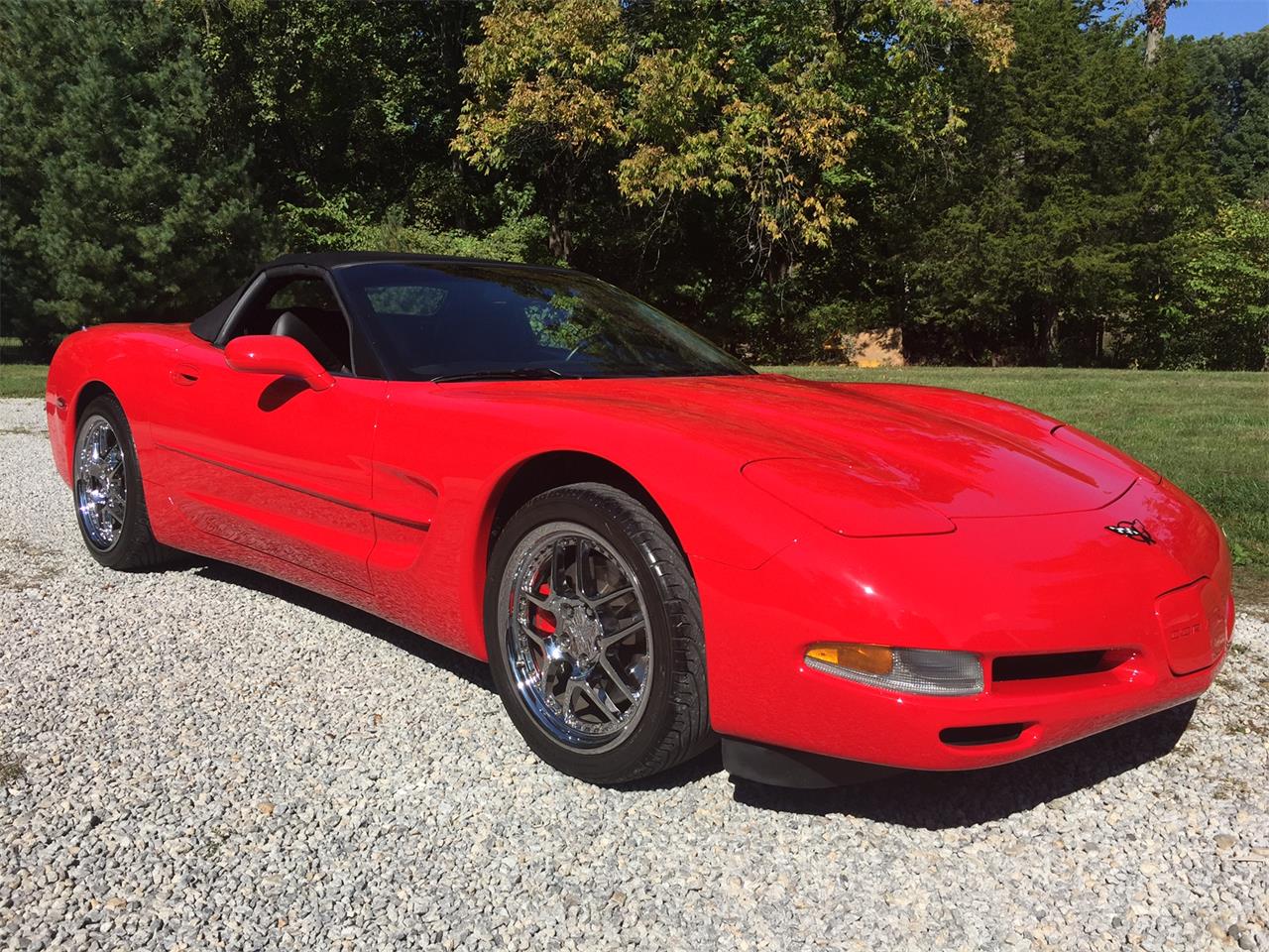 1999 Chevrolet Corvette for Sale | ClassicCars.com | CC-1012689