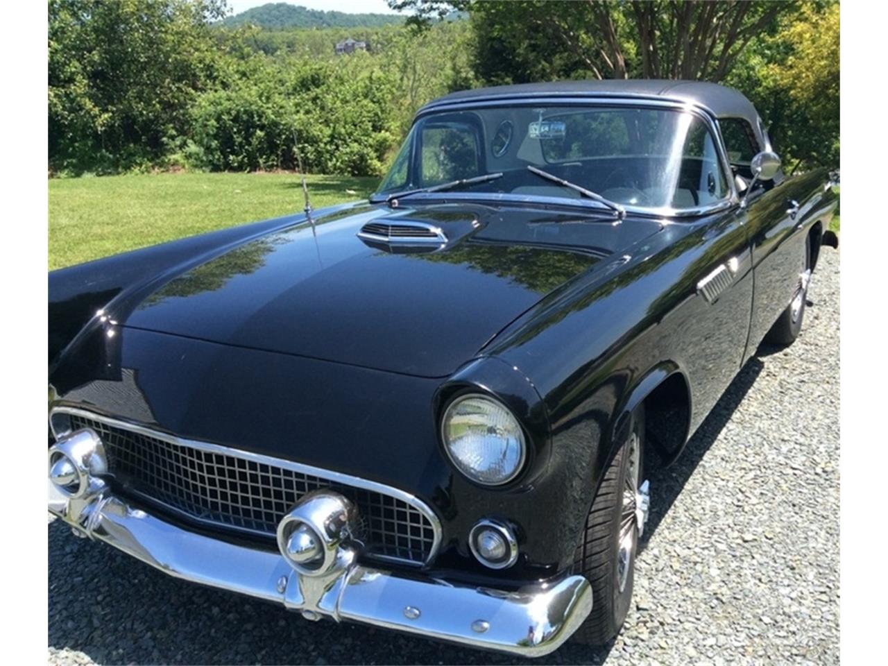 55 thunderbird price