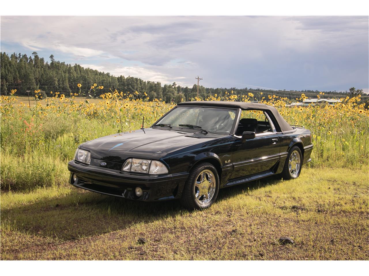 Ford mustang 1991