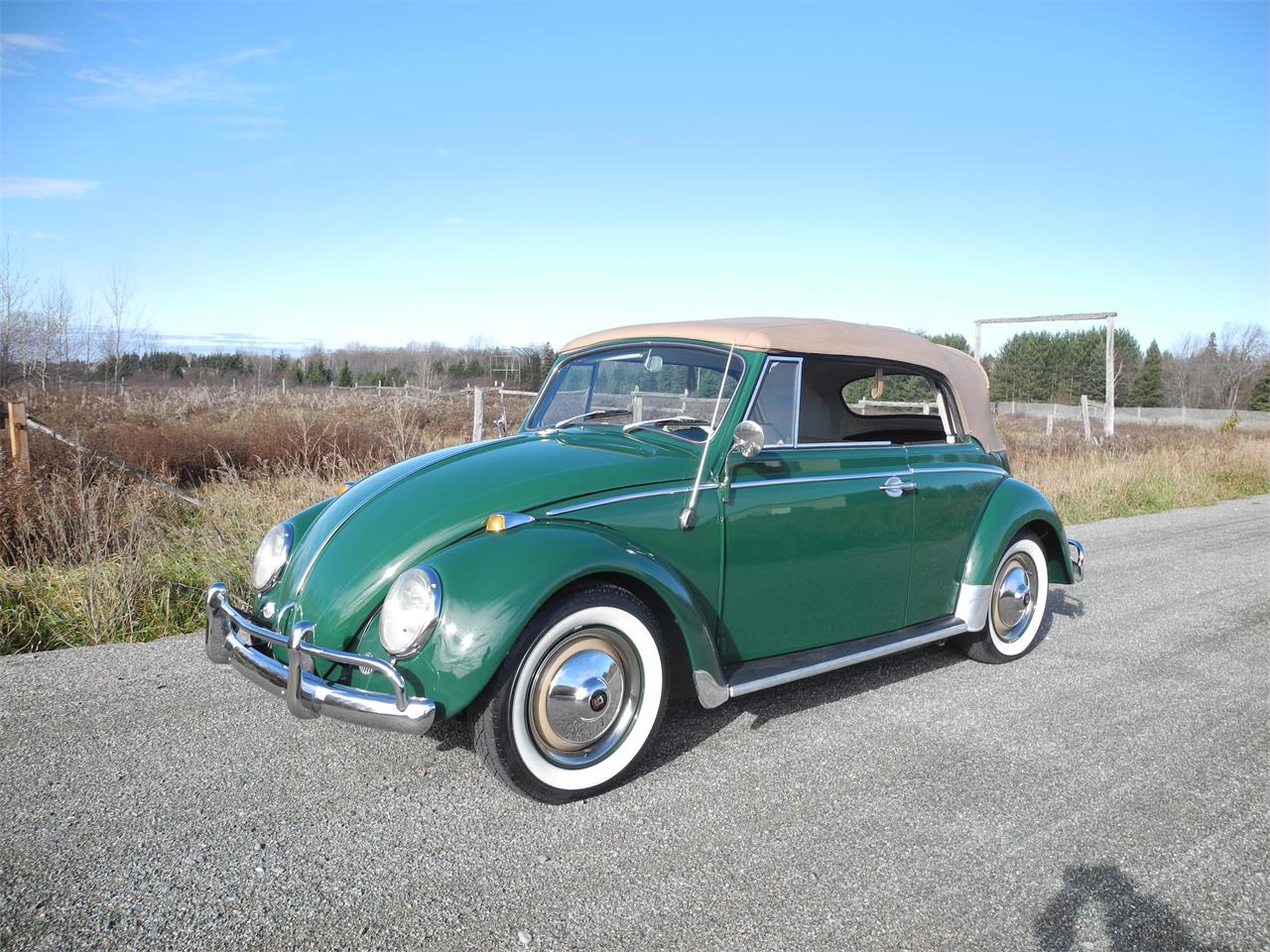 Volkswagen 65 beetle