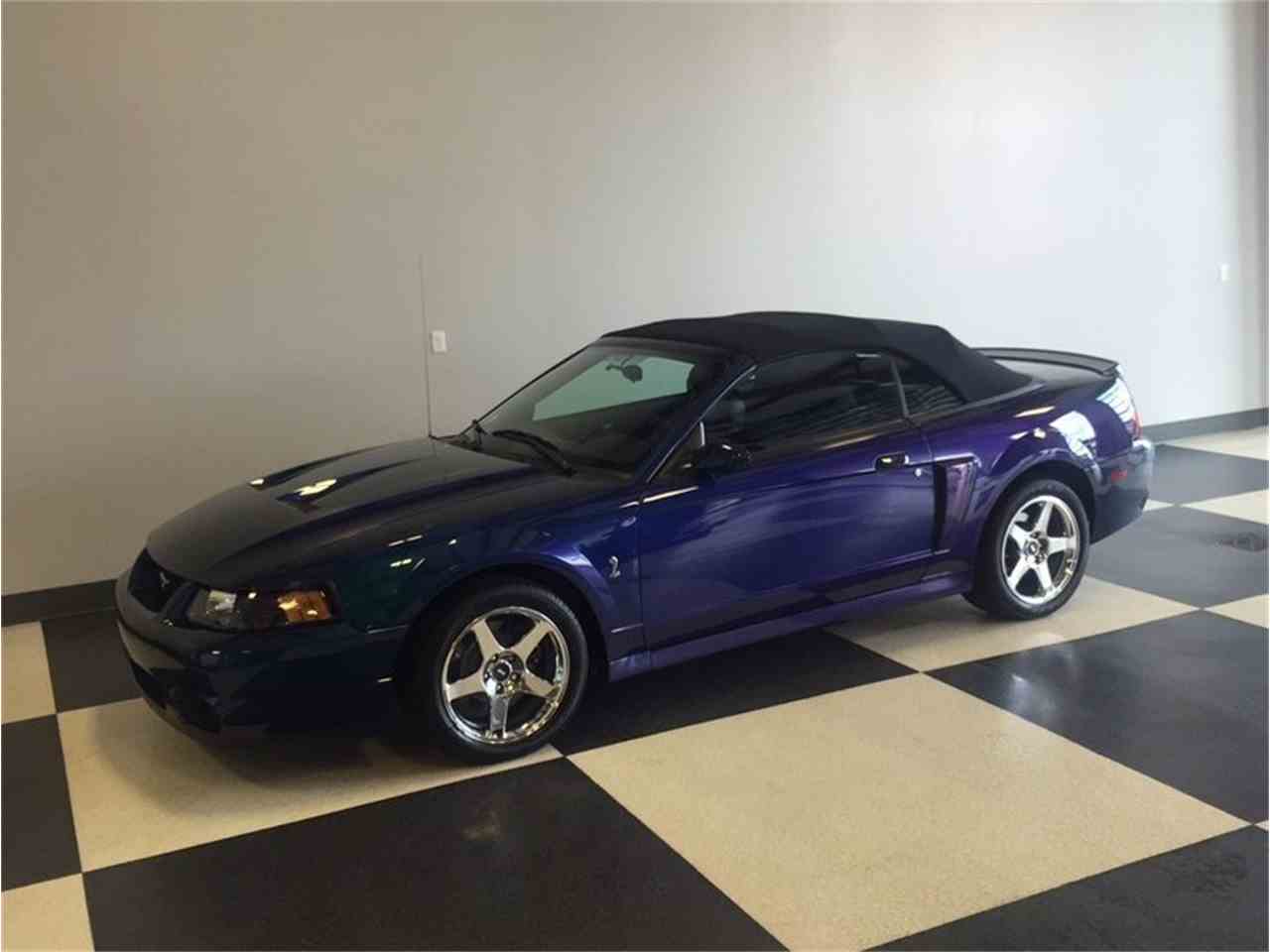 2004 Ford Mustang Svt Cobra Mystichrome For Sale Cc 1031792 2220