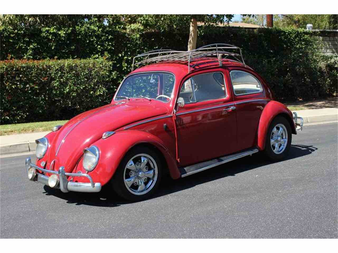 1964 Volkswagen Beetle for Sale | ClassicCars.com | CC-1036034