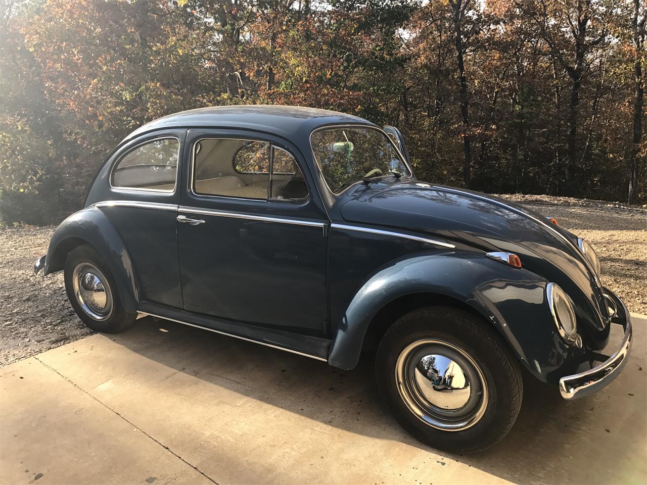 1960 volkswagen beetle for sale in mena arkansas