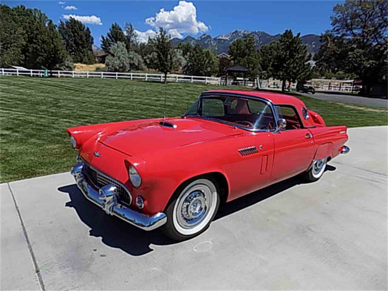 1956 ford tbird