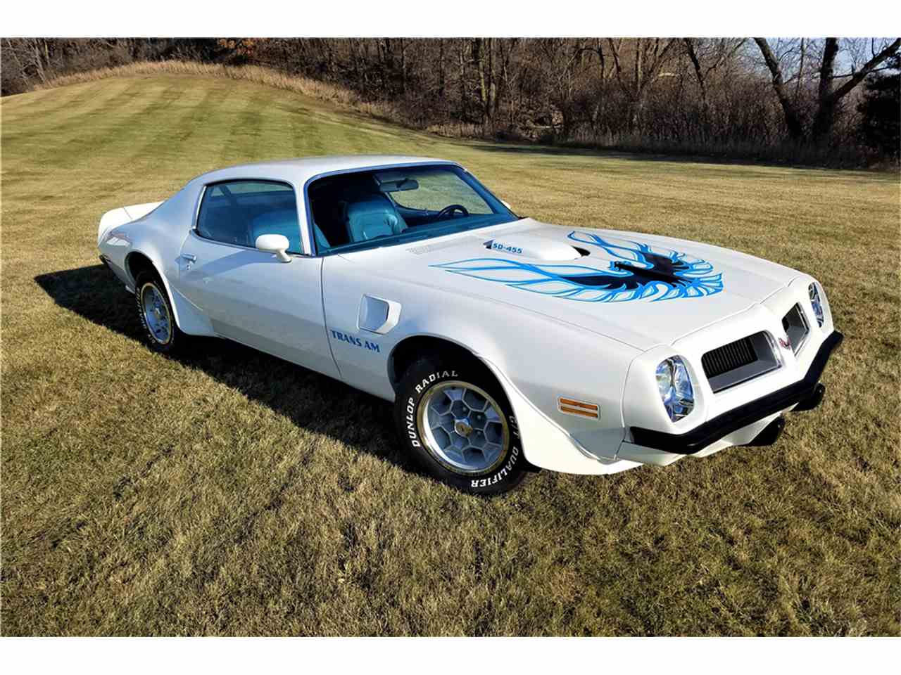 1974 Pontiac Firebird Trans Am for Sale | ClassicCars.com | CC-1047587