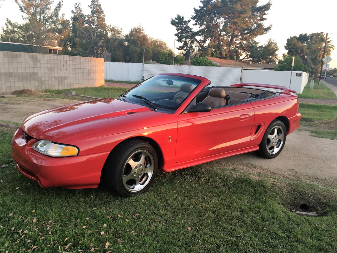 Terrific Mustang Cobra For Sale Arizona Pictures