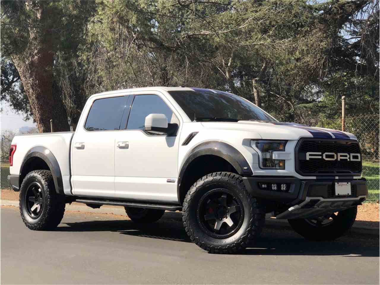 2017 Ford Raptor for Sale  ClassicCars.com  CC1064879