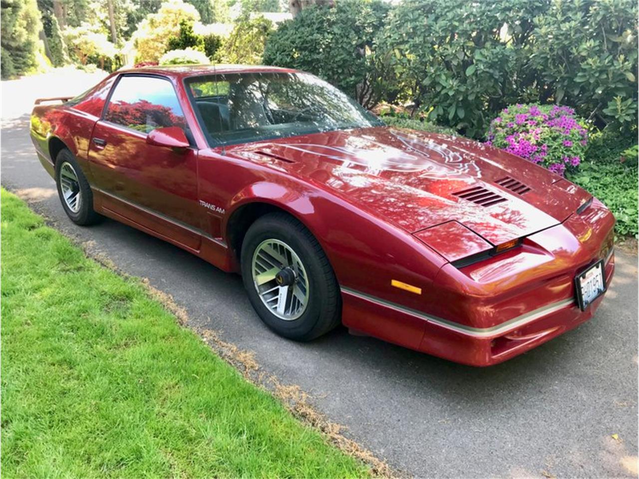 1986 pontiac firebird