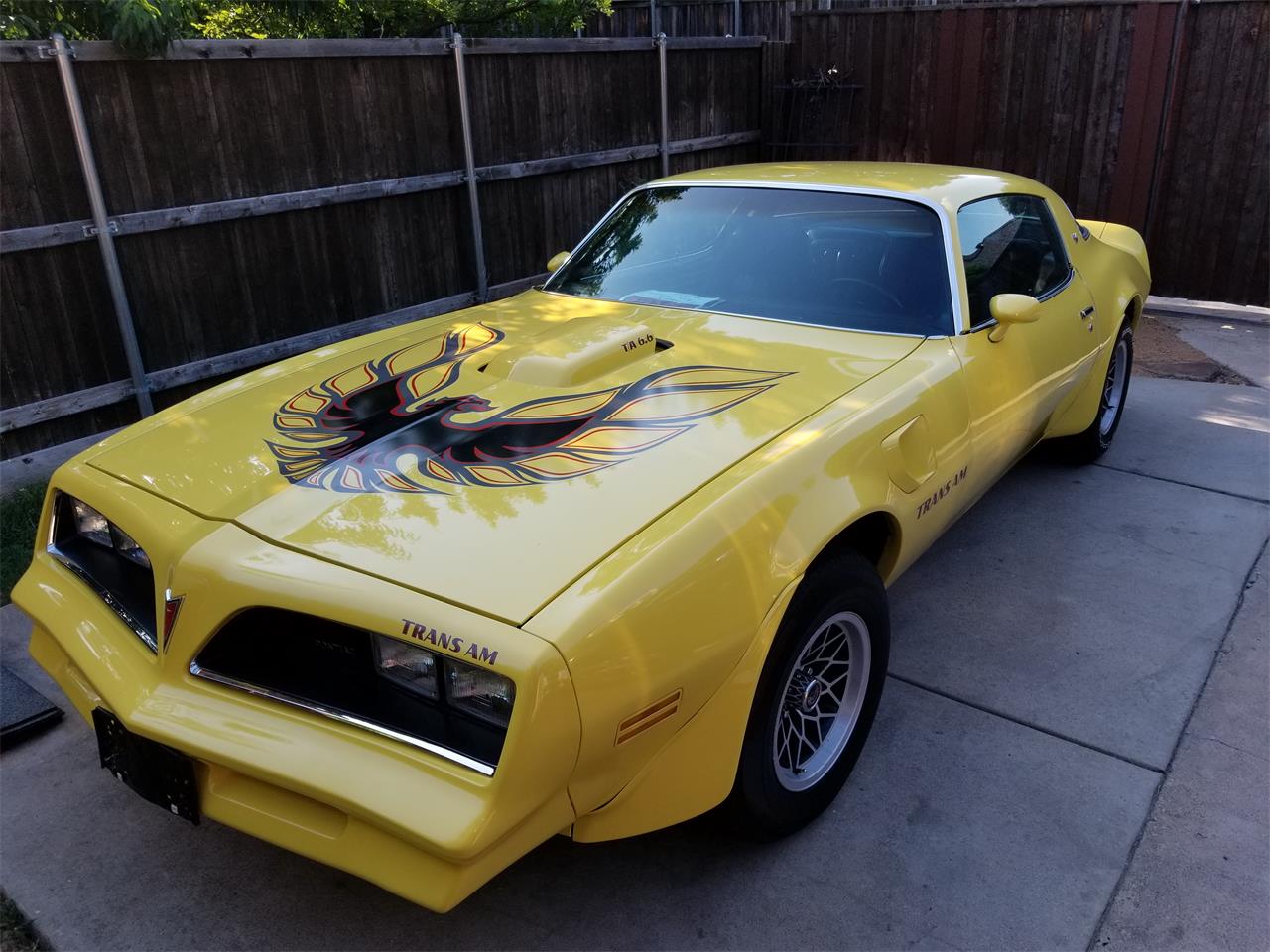 1977 Firebird Trans AM