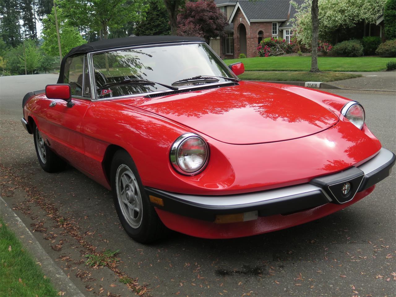1983 Alfa Romeo Spider Veloce for Sale CC1133985
