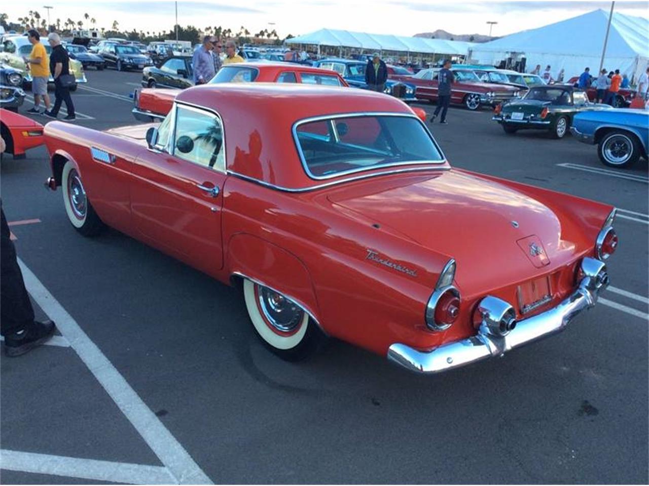 1955 to 1957 thunderbird for sale