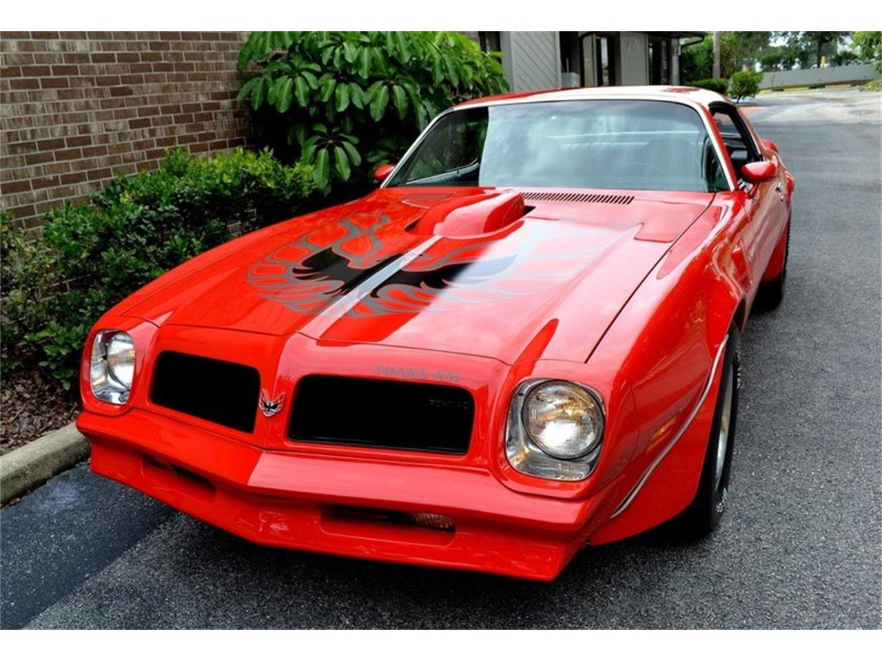 1976 Pontiac Trans Am 455 Ho For Sale Classiccars Com Cc 1154830