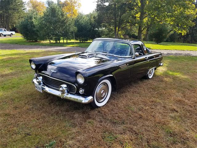 56 ford thunderbird for sale