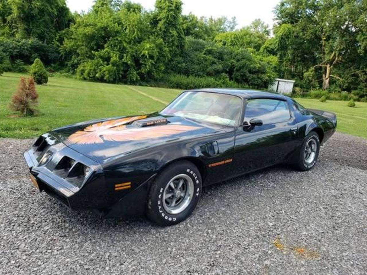 1979 Pontiac Firebird Trans Am for Sale | ClassicCars.com | CC-1164158