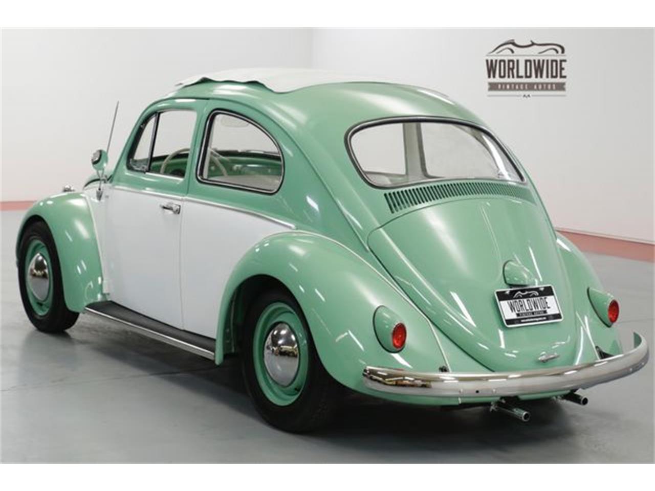 Beetle volkswagen 1960