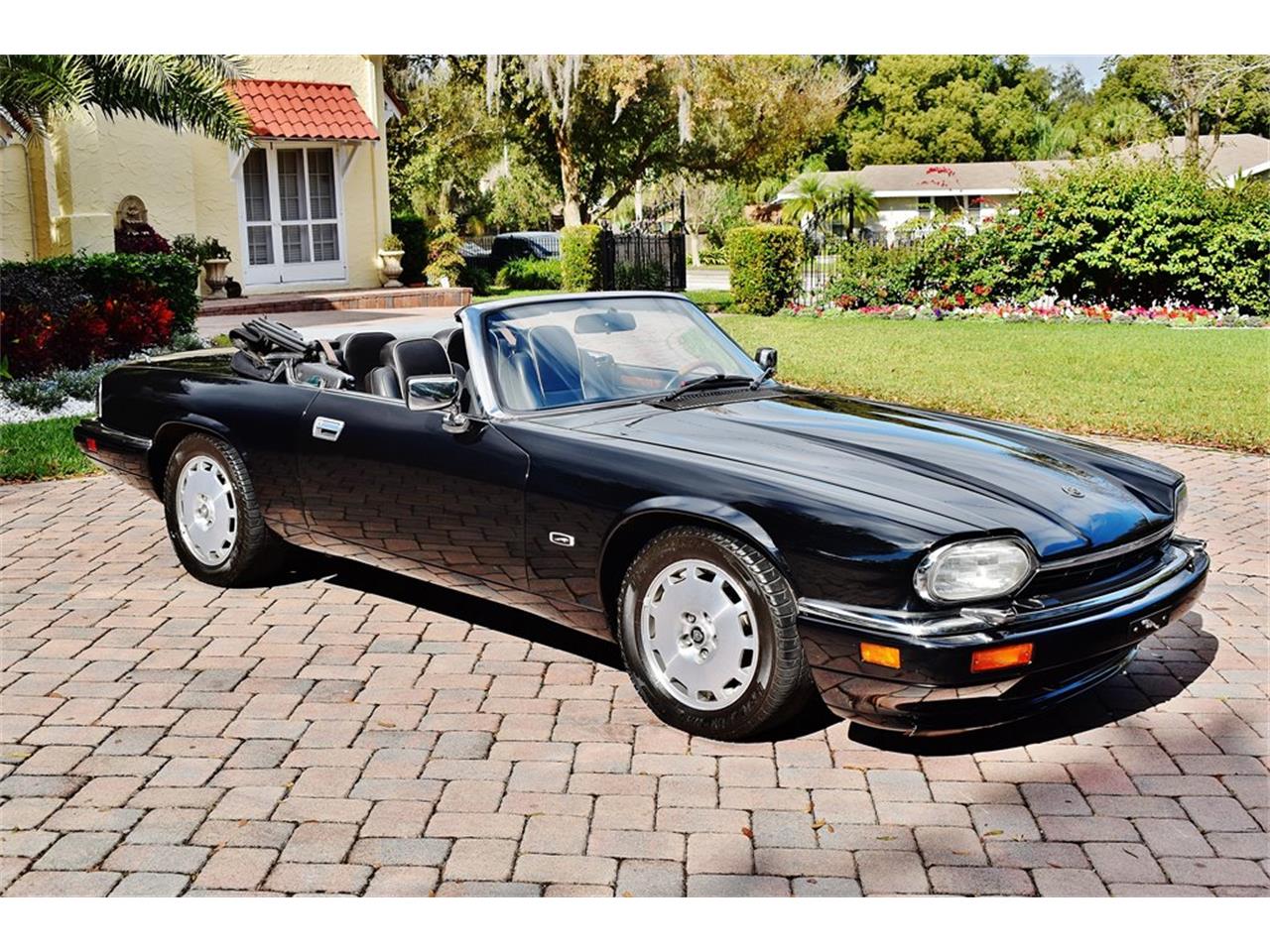 Le jaguar 1996