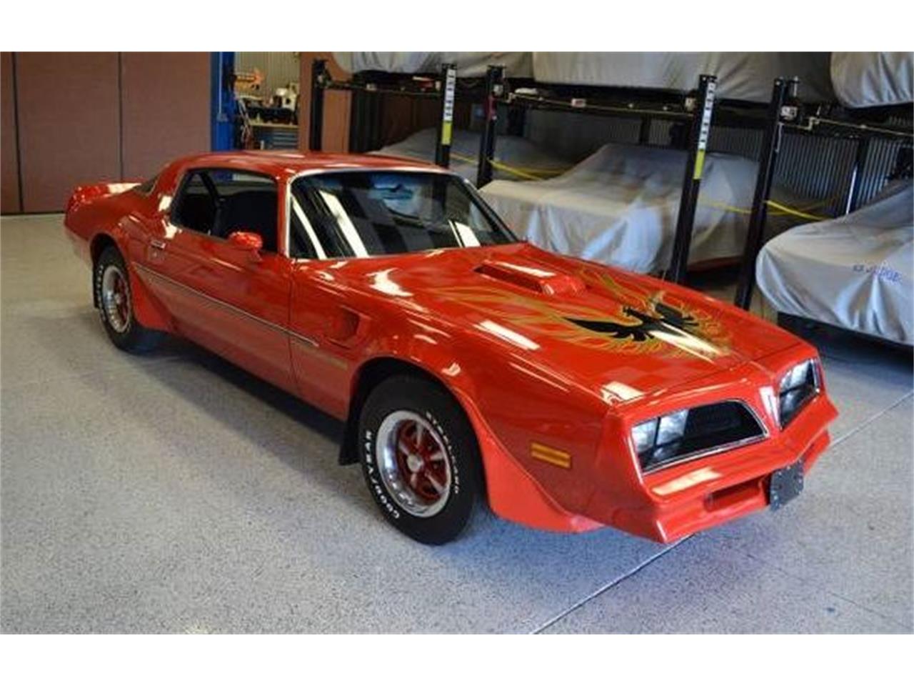 1978 Pontiac Firebird Trans Am For Sale 