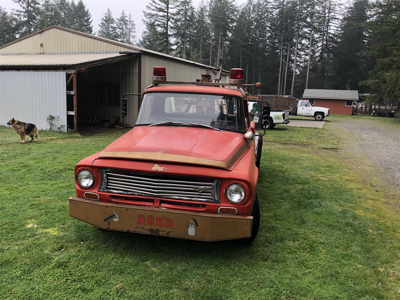 1964 International C1300 for Sale CC1189327