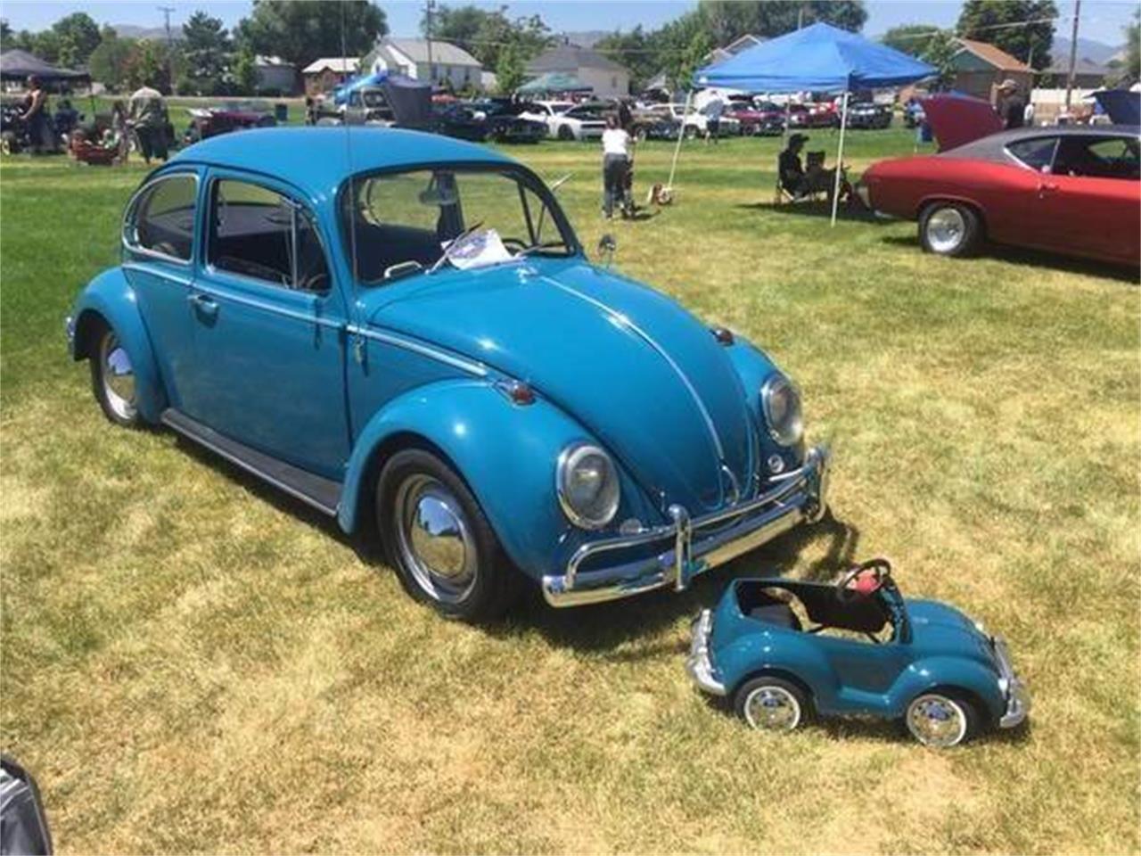 Volkswagen 65 beetle