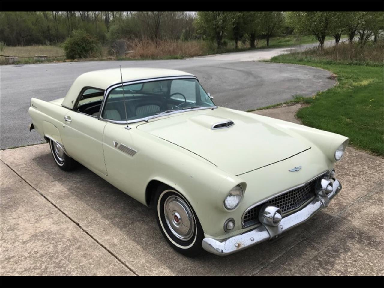 55 ford thunderbird