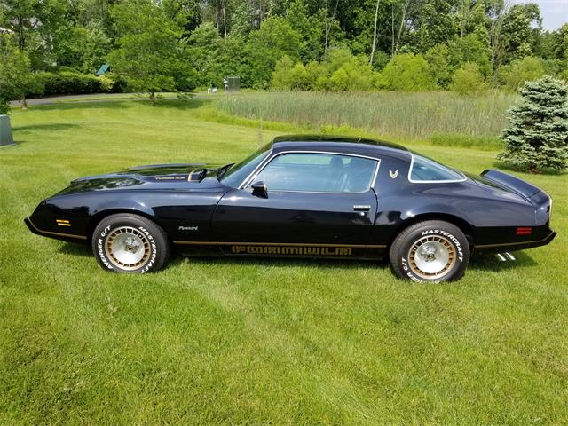 1981 Pontiac Firebird for Sale on ClassicCars.com