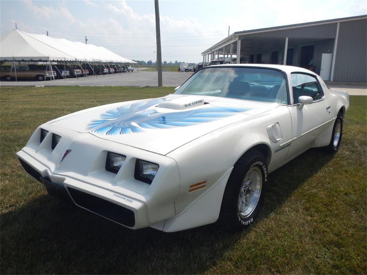 1979 Pontiac Firebird Trans Am for Sale | ClassicCars.com | CC-1264064