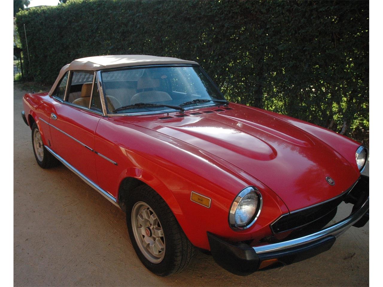 1982 Fiat 2000 Spider for Sale | ClassicCars.com | CC-711706