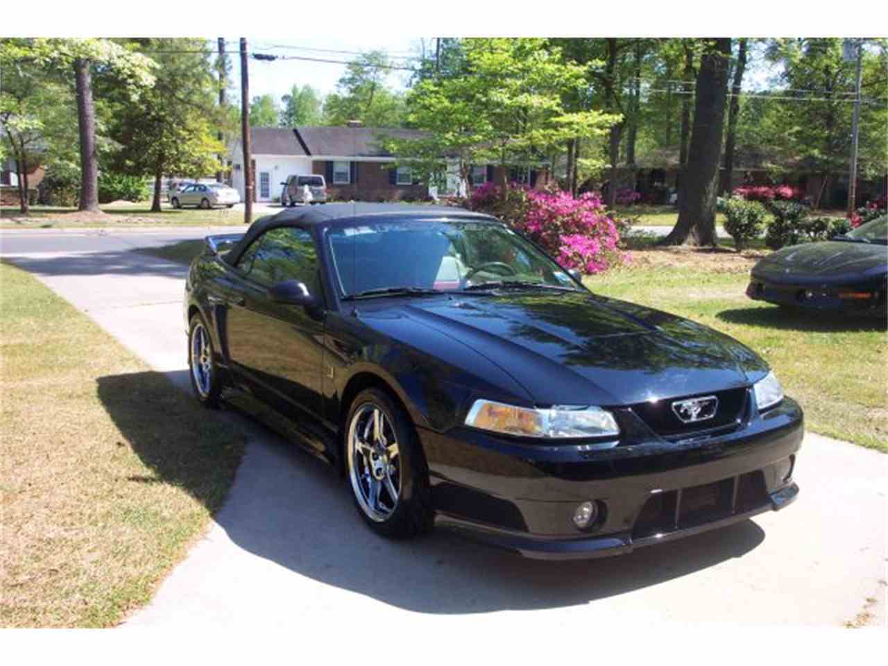 2000 Ford Mustang (Roush) for Sale CC760255