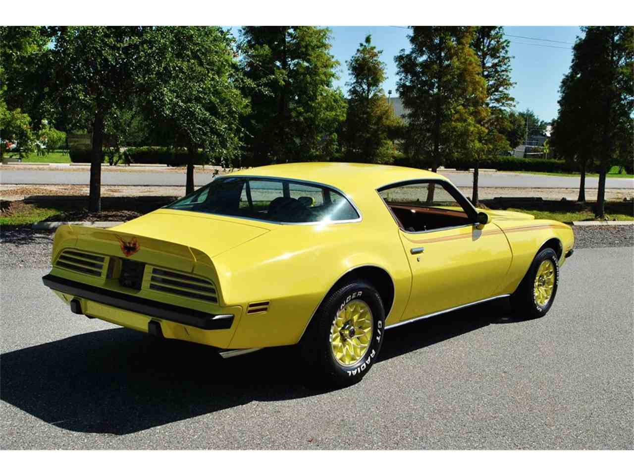 1975 pontiac firebird