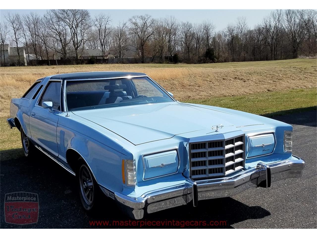 1979 ford thunderbird